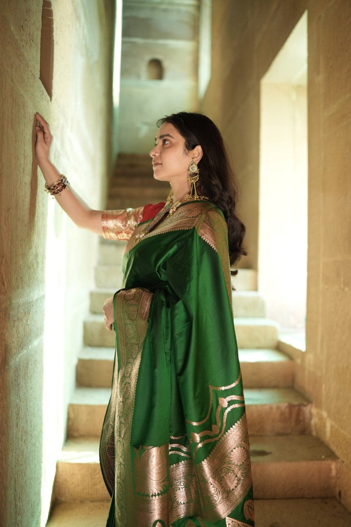 zaiva saree